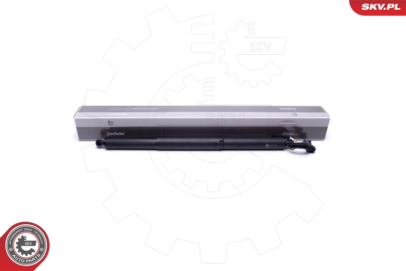 Electric Motor, tailgate